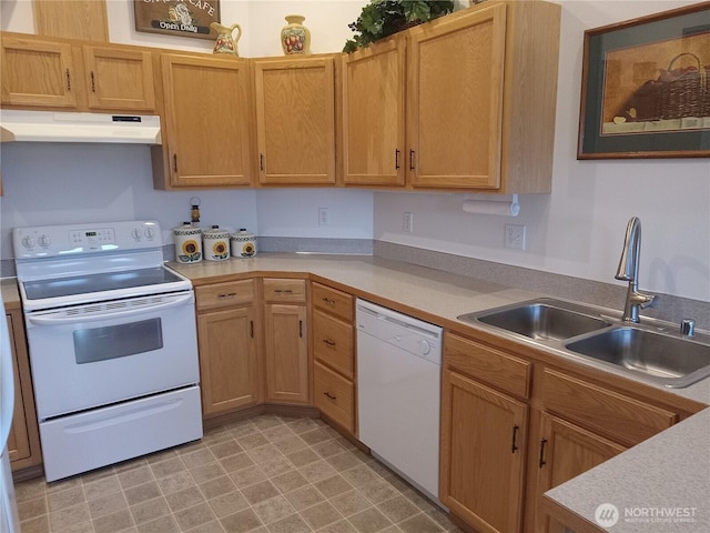 kitchen with white appliances, light countertops, under cabinet range hood, and a sink