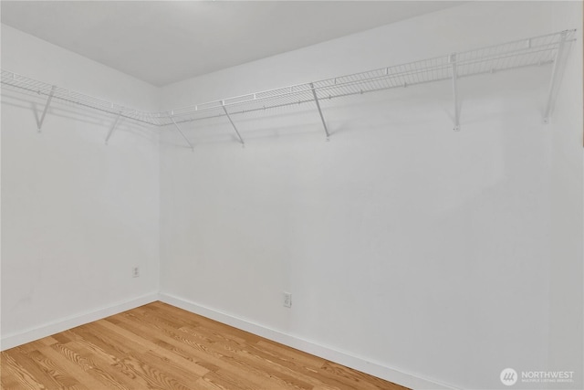 walk in closet featuring light wood-style floors