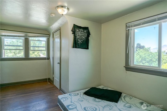 unfurnished bedroom with dark wood-type flooring, multiple windows, and a closet