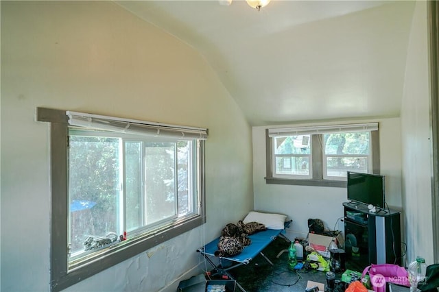 interior space with vaulted ceiling