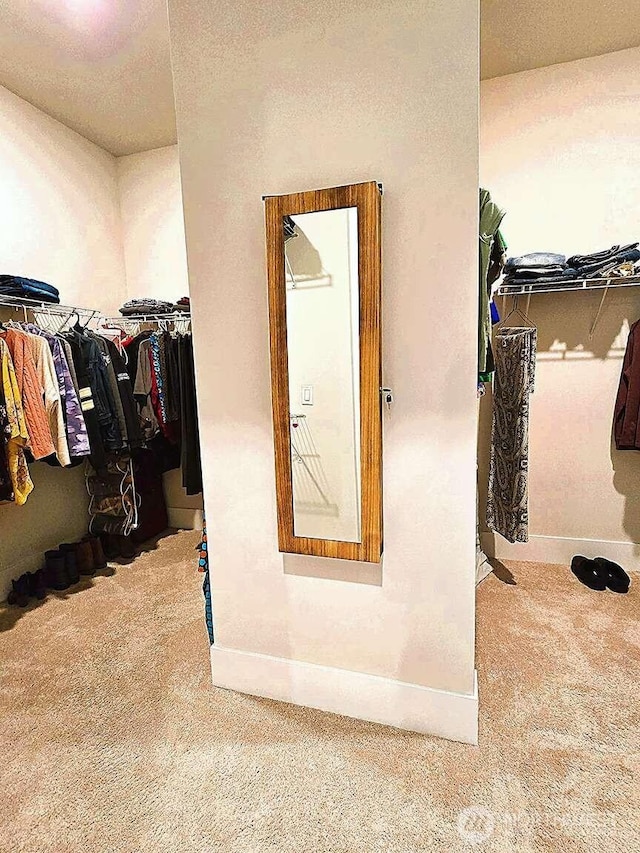 spacious closet with carpet