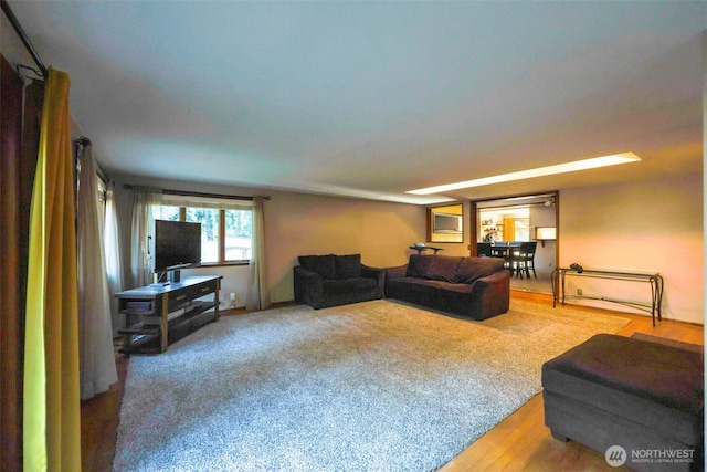 view of carpeted living area