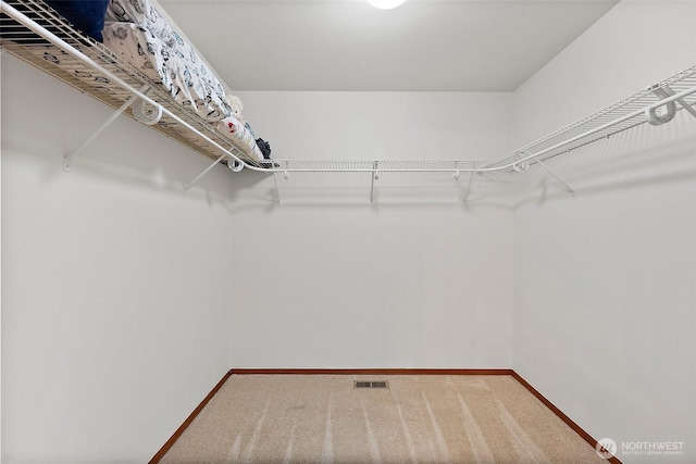 walk in closet featuring visible vents and carpet floors