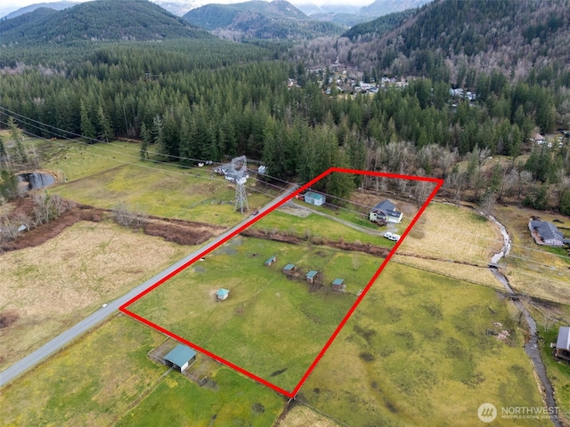 drone / aerial view featuring a rural view, a view of trees, and a mountain view