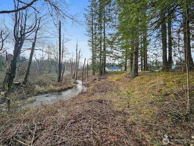 view of local wilderness