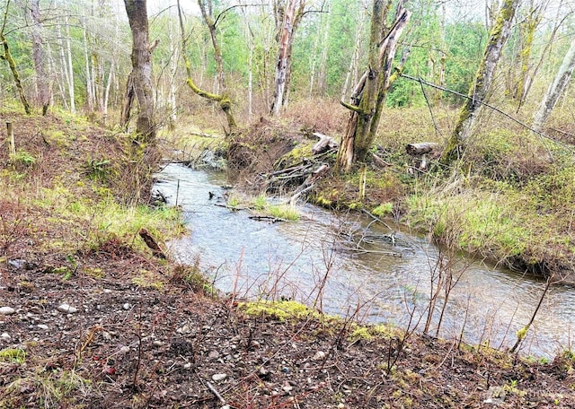 property view of water with a forest view