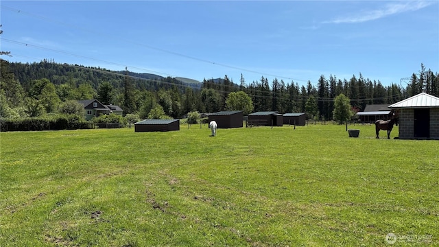 30727 SE 355th St, Enumclaw, WA 98022 - view of grassy yard featuring a wooded view and an outbuilding