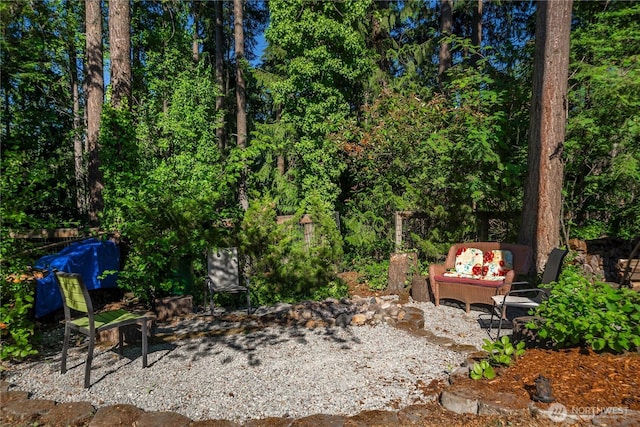 view of yard featuring a patio