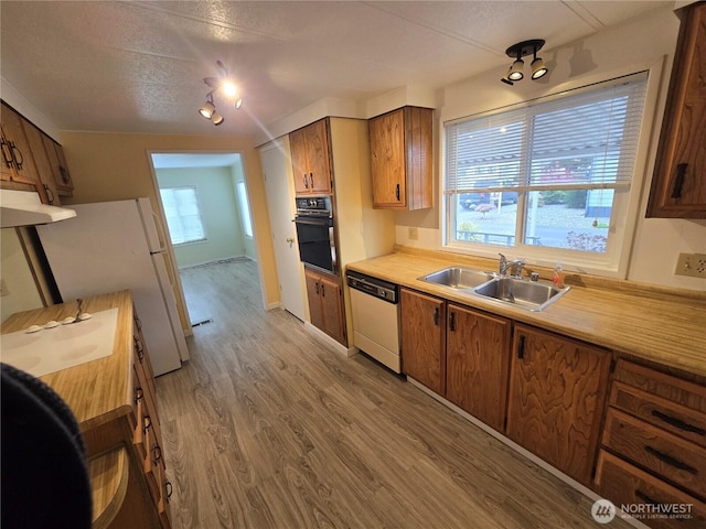 kitchen with light wood-type flooring, brown cabinets, a sink, white appliances, and light countertops