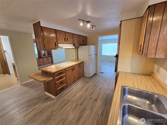 kitchen featuring under cabinet range hood, light countertops, light wood-style flooring, white appliances, and a sink