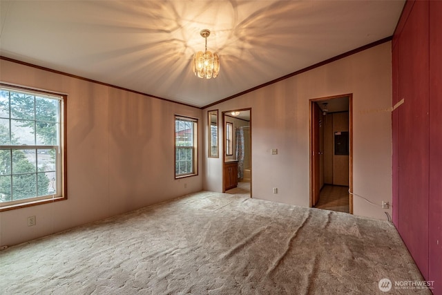 unfurnished bedroom featuring a notable chandelier, ensuite bathroom, crown molding, and carpet