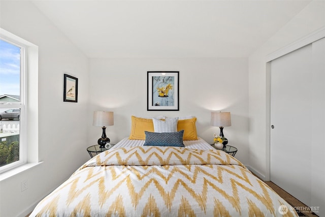 bedroom with a closet and multiple windows