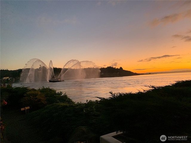 view of water feature