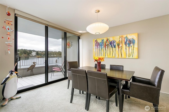 carpeted dining room with a water view