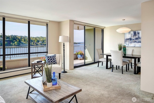 carpeted living room with a baseboard heating unit and expansive windows