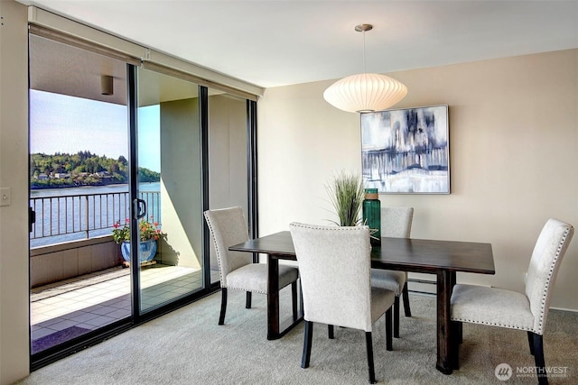 view of carpeted dining space
