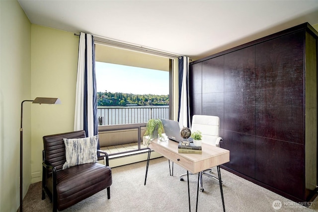 office space with a water view and carpet