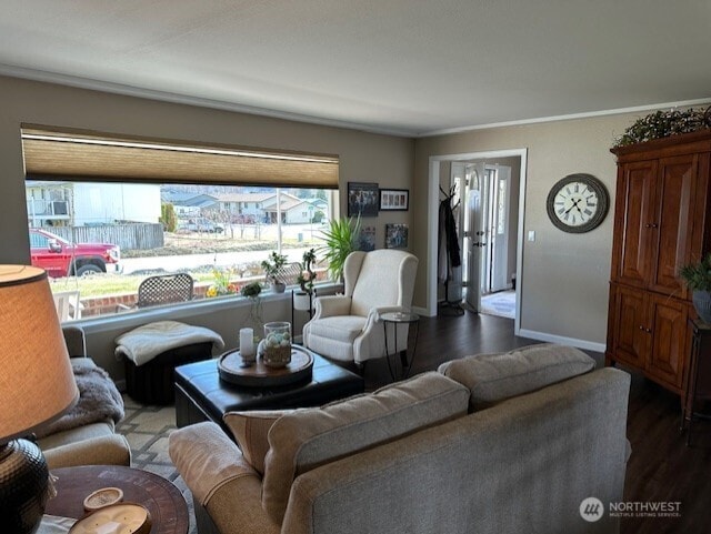 living room featuring baseboards, wood finished floors, and crown molding