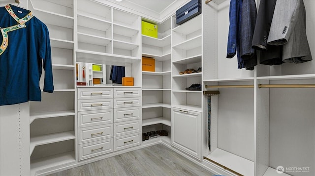 walk in closet featuring light wood-style flooring