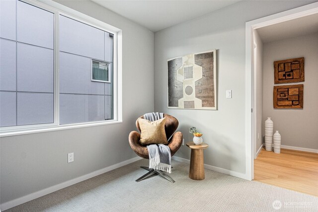 living area featuring baseboards and carpet floors