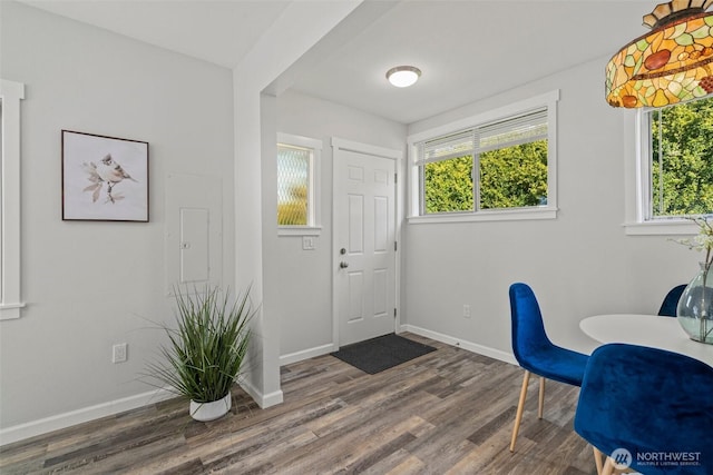 foyer entrance featuring a wealth of natural light, baseboards, and wood finished floors