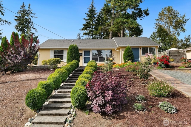 ranch-style house featuring stairway and stucco siding