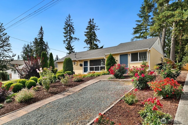 single story home with stucco siding