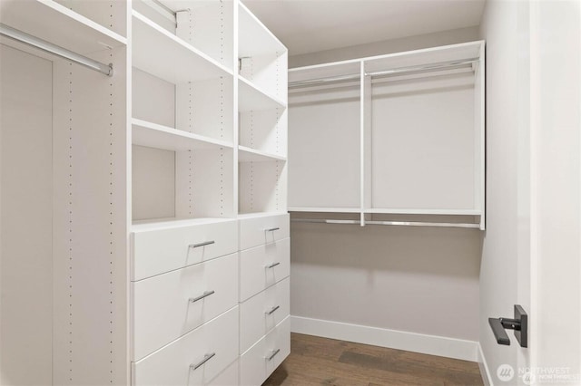 spacious closet with dark wood-style floors