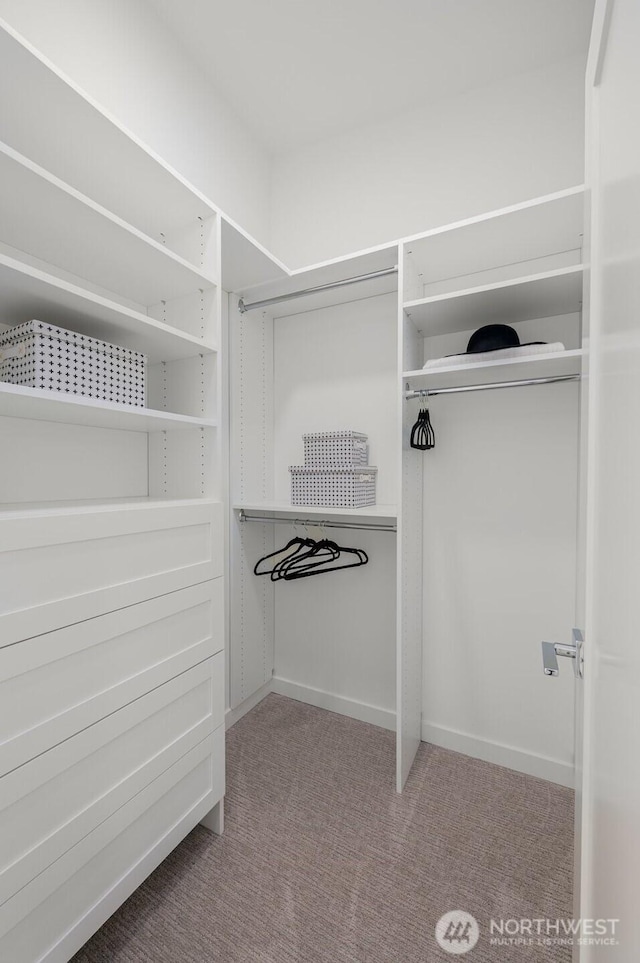 9211A Densmore Ave N, Seattle, WA 98103 - spacious closet with carpet floors