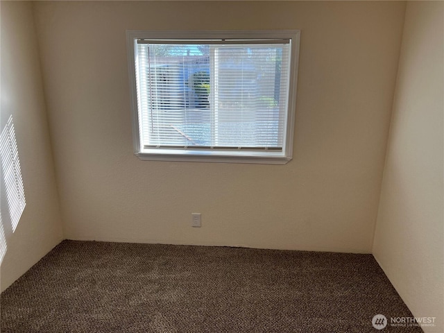 spare room with carpet floors