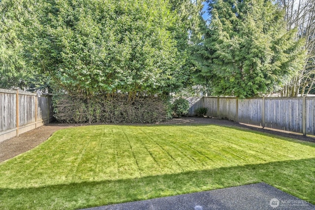 view of yard with a fenced backyard