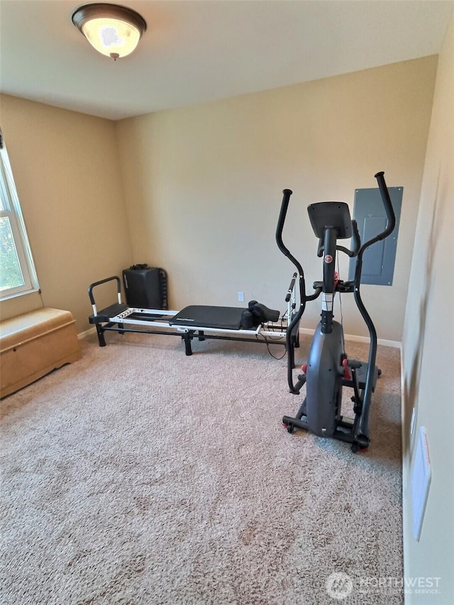 exercise area featuring baseboards and carpet