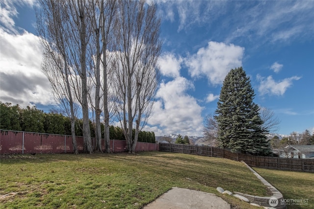 view of yard featuring a fenced backyard