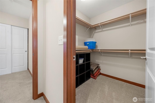 walk in closet with carpet flooring