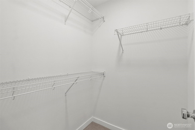 view of spacious closet