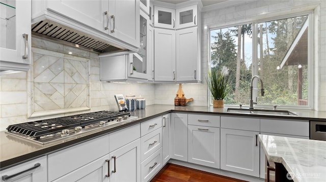 kitchen with stainless steel gas stovetop, plenty of natural light, premium range hood, and a sink