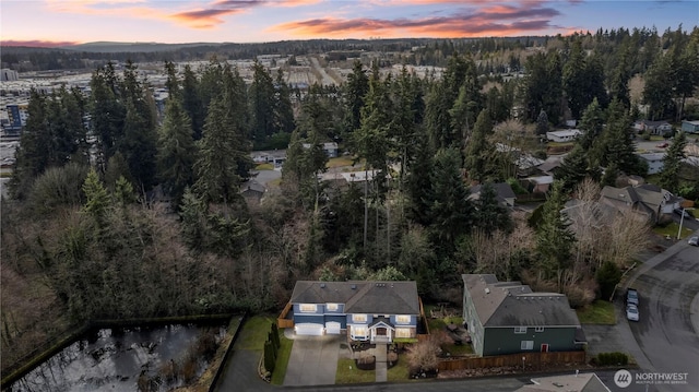 aerial view at dusk with a forest view