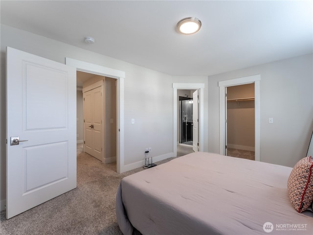 bedroom with a walk in closet, a closet, baseboards, and carpet floors