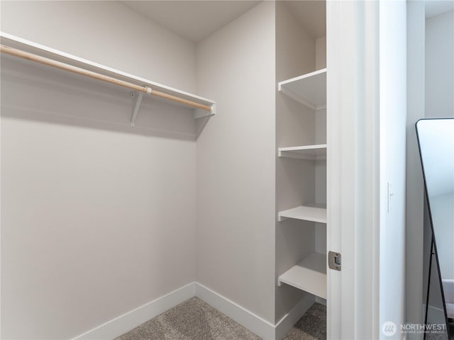 spacious closet with carpet