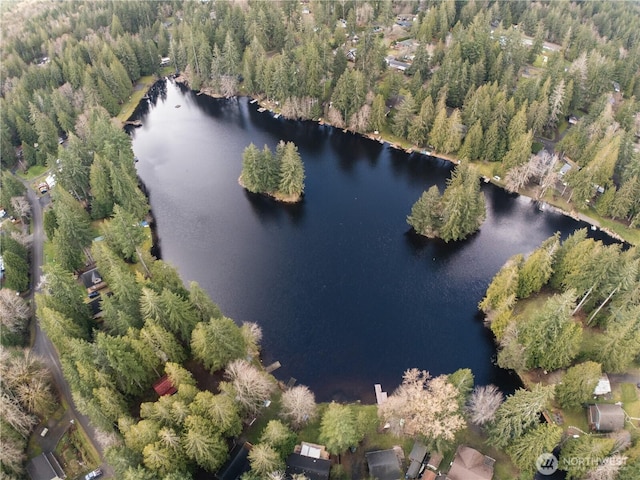 birds eye view of property with a wooded view and a water view