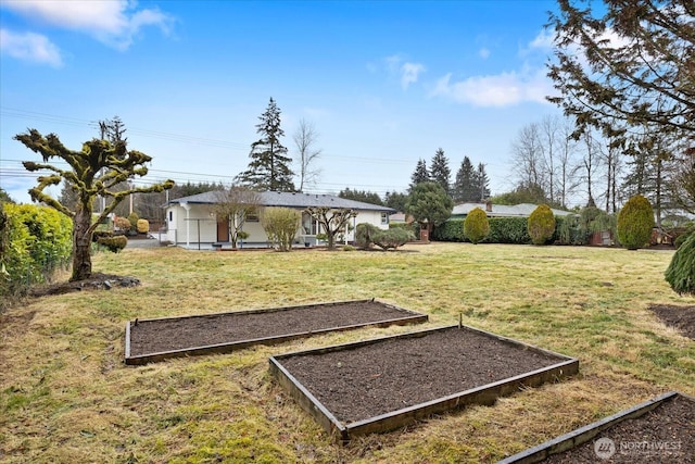 view of yard featuring a garden