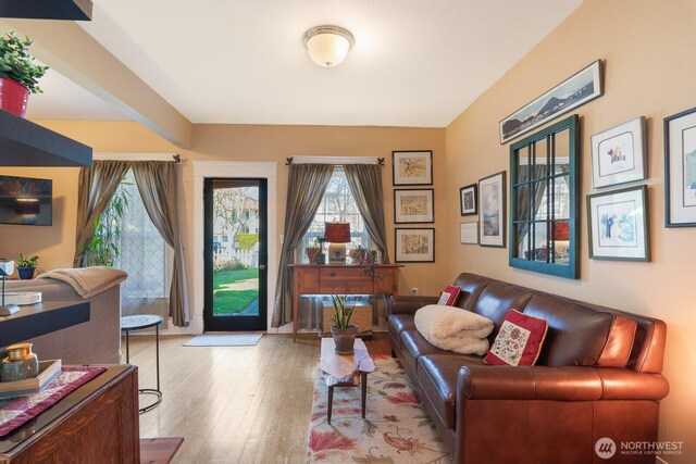 living room featuring hardwood / wood-style flooring