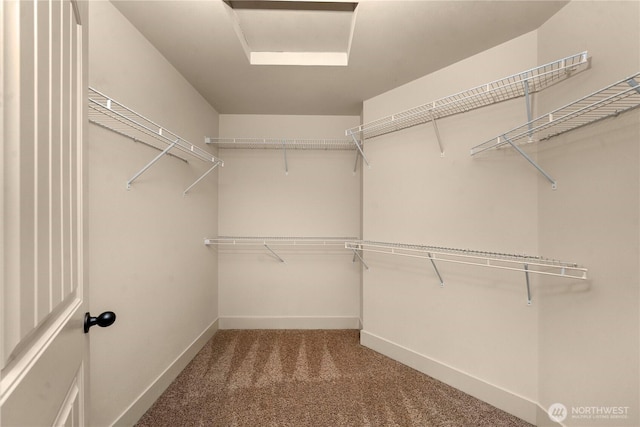 walk in closet with carpet flooring