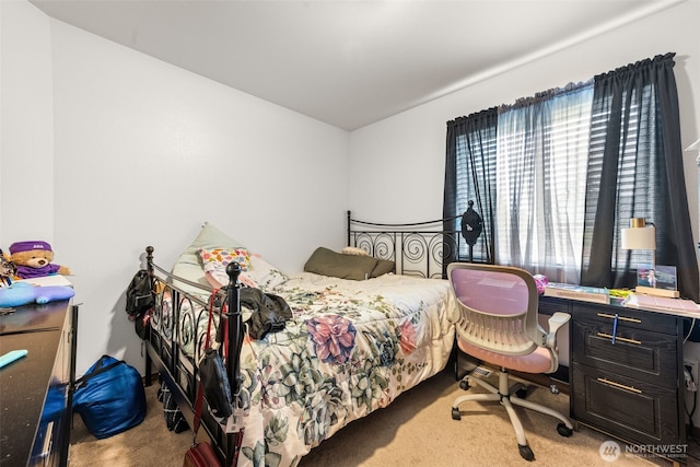 view of carpeted bedroom