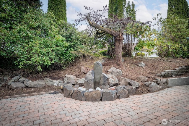 view of yard featuring a patio area