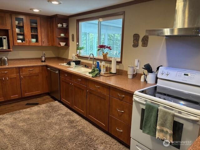 kitchen featuring wood finished floors, a sink, stainless steel appliances, glass insert cabinets, and wall chimney exhaust hood