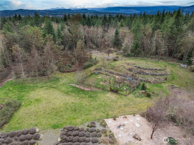 birds eye view of property with a mountain view and a wooded view