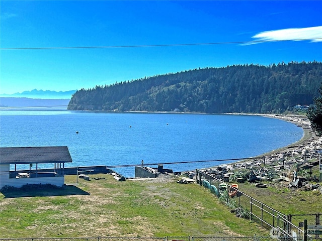 water view featuring a forest view