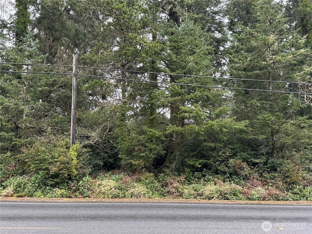 0 Vernon Ave, Ocean Park, WA 98640