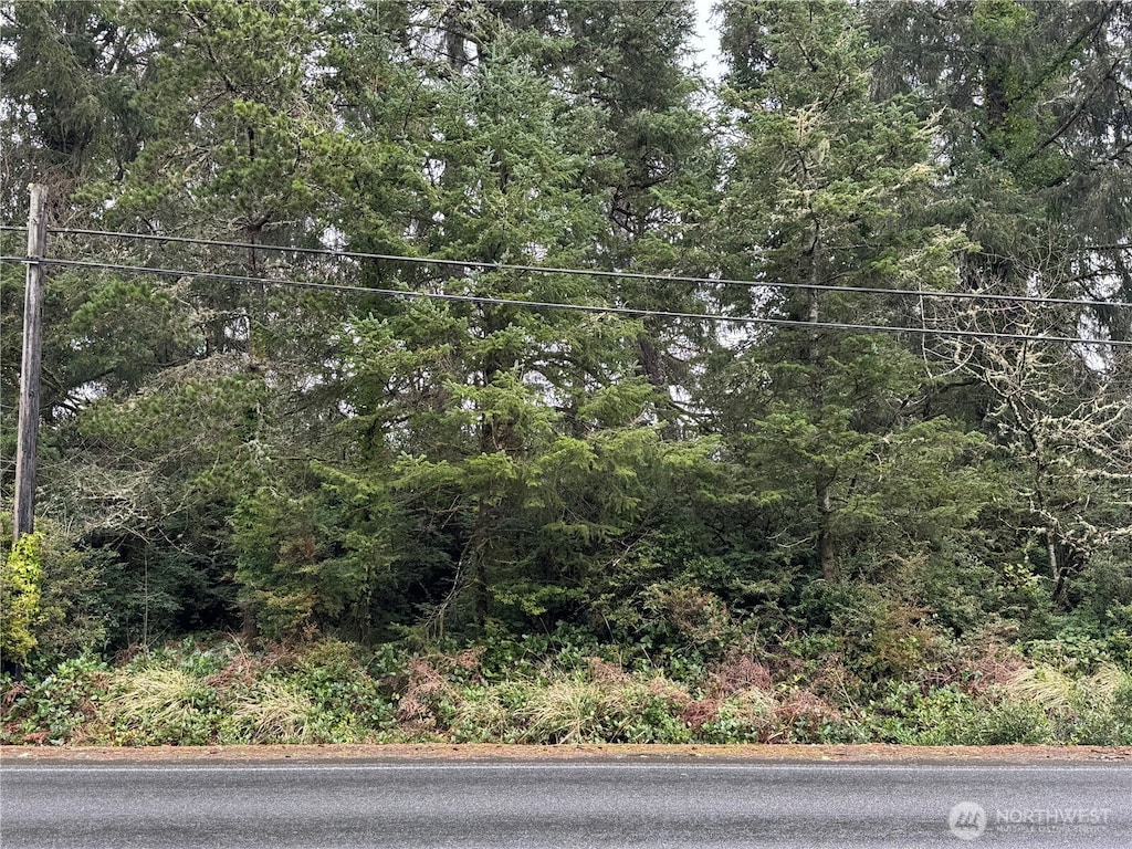 0 Vernon Ave, Ocean Park, WA 98640